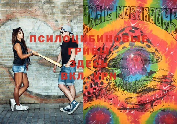 не бодяженный Алексин