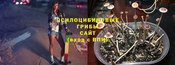 не бодяженный Алексин