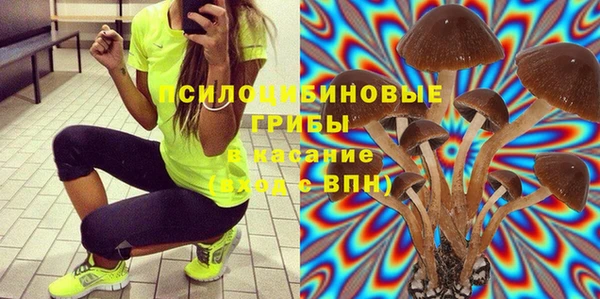 каннабис Алзамай