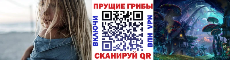 даркнет сайт  Ачинск  Галлюциногенные грибы прущие грибы 